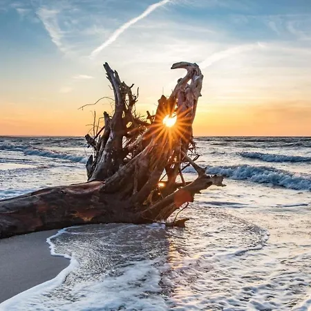 Gaestehaus-w-13 דירה *